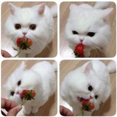 女子限定❣ 中学生★