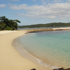 たんぼのトーク