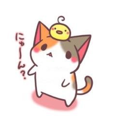 せりぽのトーク