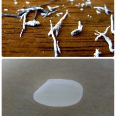 もしも消しカスと米粒が言葉を発したら…