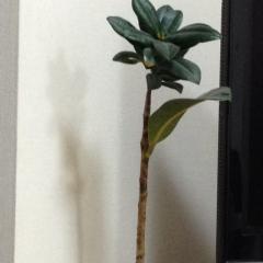 いい文房具など文房具屋 教えてください。