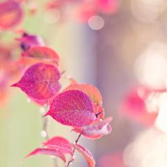 小6の人会しょーフォローしあって、グル作ろう