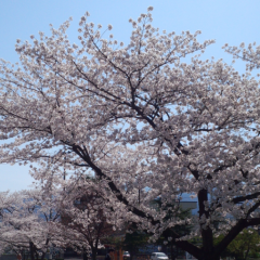 暇つぶし(♡ˊ艸ˋ)むふｯｯｯ♬*