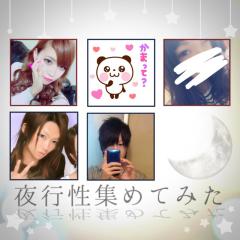 夜行性🌃集めてみた