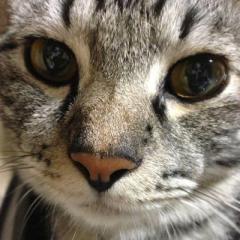 たけぷうのトーク