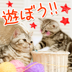 ゆうのトーク