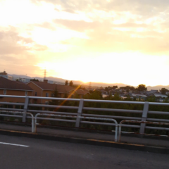 最近関西jrにはまってる人絡まない？