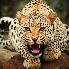 高校生の人～!!きて(*^^)v