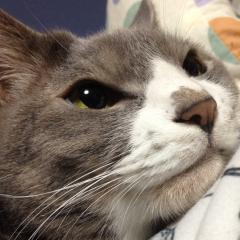 ぷ。@おばちゃん