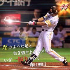 やじこめこい！ʬʬʬ