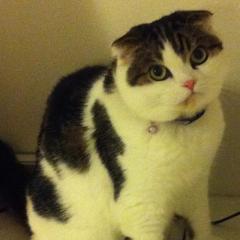 のりむしのトーク