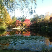 清原和美のトーク