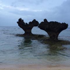 広島の人ー(^o^)/