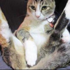 この頃755つまらなくない❓