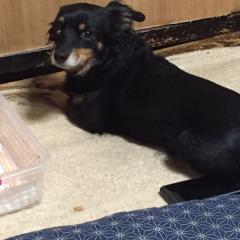 色んなこと話そう⑅︎◡̈︎*