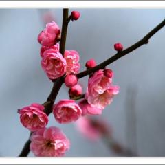 仙台の人👸💓