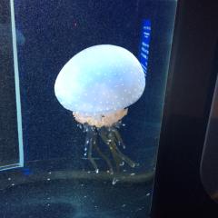 はるはる(￣▽￣)