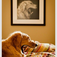 みんなでざつだん