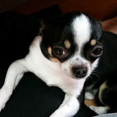 オカエリのトーク