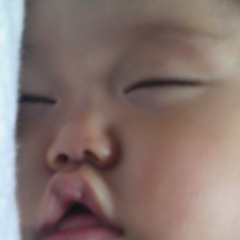 せいのじのトーク