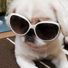 藤田勇人のトーク