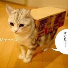 適当人生歩む…笑