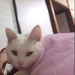 まるまるまるまる