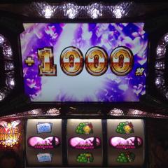 ニキータのトーク