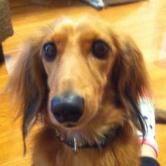 なんでもパティー