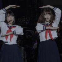 タカ