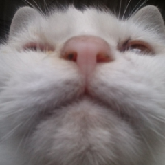 ラピスのトーク