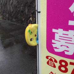 Genki