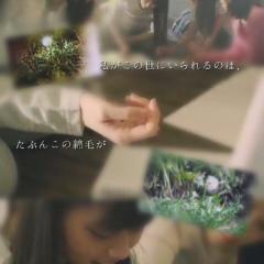 乃木坂の集い✨