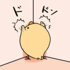 ひよこ専務