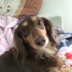 萌々香→ももか