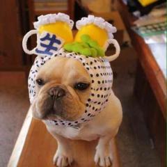 英ちゃん(｡ ｰ`ωｰ´) ｷﾗﾝ☆