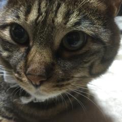 Tーhiroのトーク