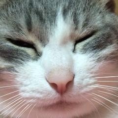 ただの愚痴（相談、雑談）部屋(｀･ω･´)