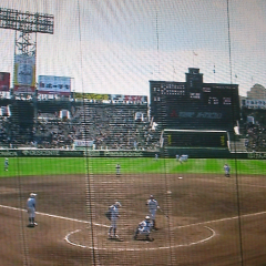 野球乃木坂46ファントーク