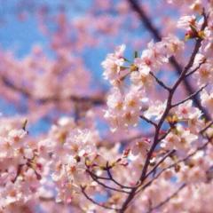 新○○高校生トーク←