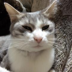 暇人の溜まり場