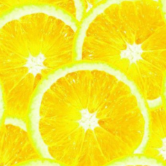 ✨だっちゃんを応援しています✨