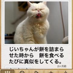 如月 雅