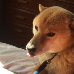 くみことまっつんのトーク