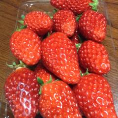 かず@三代目Luvのトーク