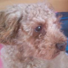 たかえちゃーんのトーク