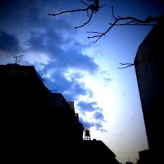 写真撮る。