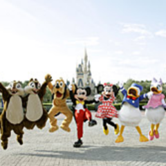 ●󾓑● Disney　Fan ●󾔏●