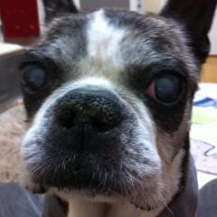 ベルまま@ホワイトベル