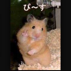 ☆〜（ゝ。∂）